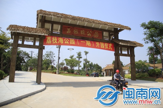 开园首日，就吸引许多市民前去欣赏荔枝海