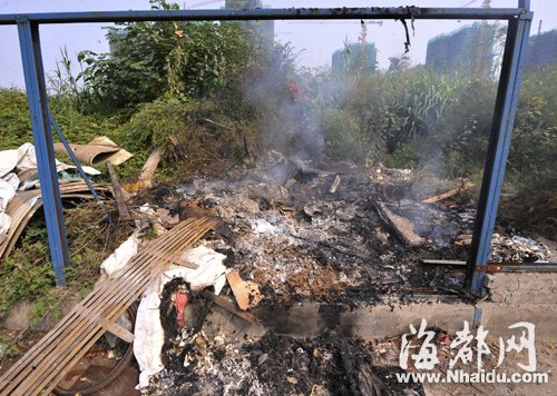 昨日海都报刚曝光的联建村一垃圾场又有人烧垃圾