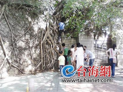 部分奇葩游客仍翻墙进校园