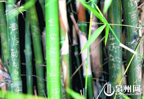 东湖公园的一些竹子上刚被新刻上了名字