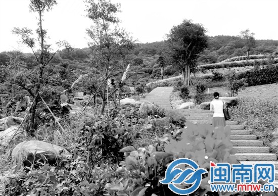 大屏山公园一角