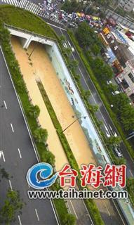 仙岳路高架区