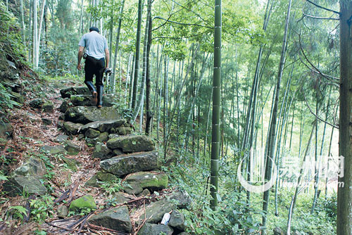 一名男子在山林中偱着古道前行