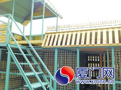 鸽房门被打开，里面的鸽子都不见了