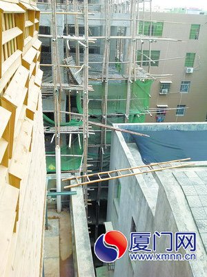 隔壁屋顶一把竹梯“横渡”到鸽房