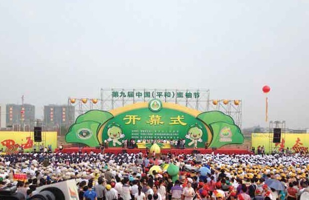 第九届中国（平和）蜜柚节