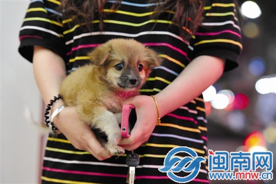 小狗被救下后，眼神里还透着惊恐