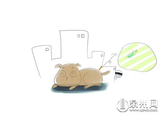两盗贼“飞针”捕狗