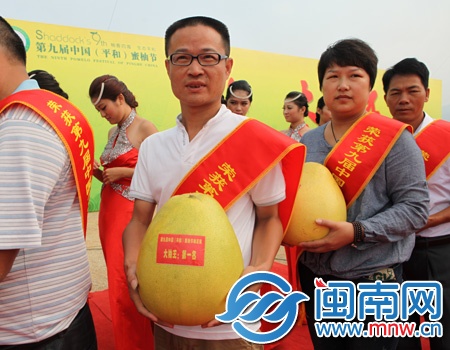 2013年新柚王