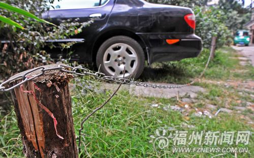 南台新苑莲花园小区　铲掉绿化带抢“私家车位”