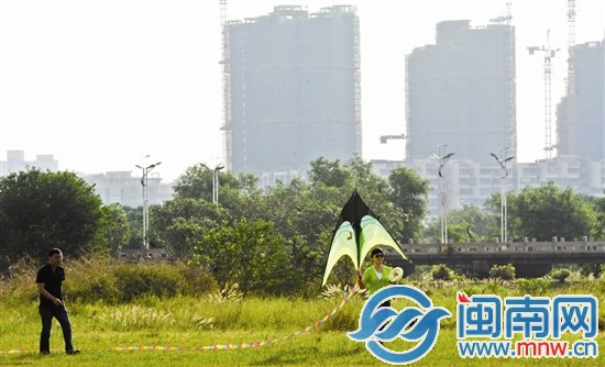 好天气，放风筝去，拍于泉州江滨公园