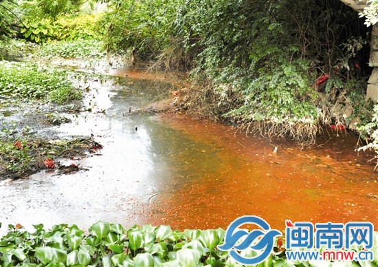 玉田渠水面，水浮莲丛生，散发阵阵恶臭