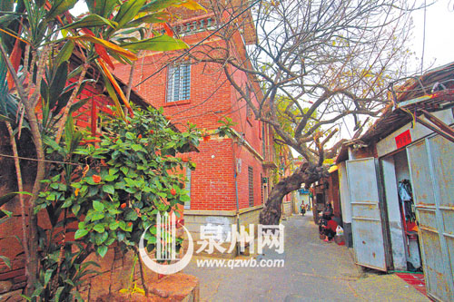 台魁巷里，落叶如黄金般铺满地。