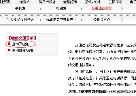 查询及缴纳