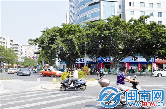 田安路与泉秀街交叉口，人行道没有红绿灯