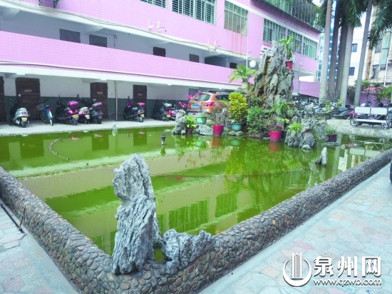 这个景观池有水但已发绿
