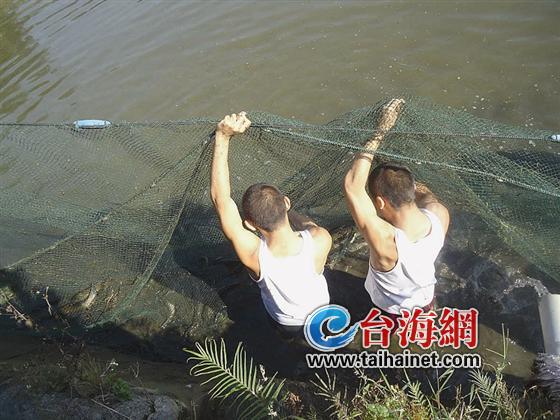 留守家庭缺劳力 消防“上阵”帮捕鱼