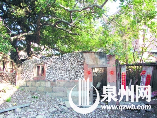 难抵岁月沧桑,不少蚵壳厝损毁倒塌