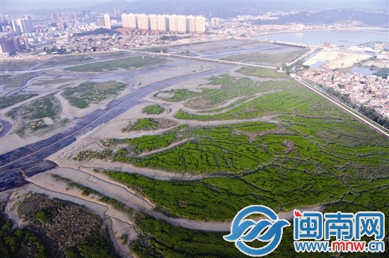 洛阳桥畔如今生态保护依然良好