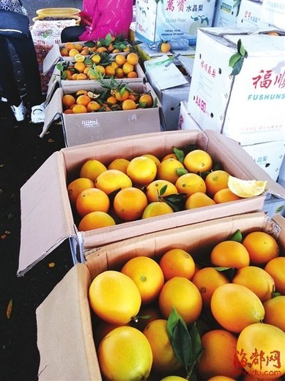 福州市场现染色脐橙 120斤染色脐橙已集中捣毁3