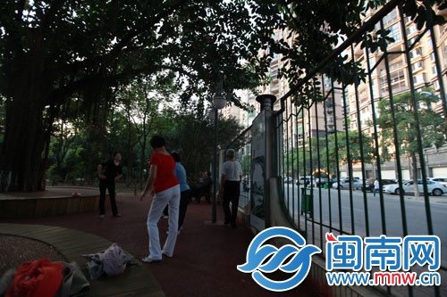 刺桐公园内，每天都有很多市民前去锻炼