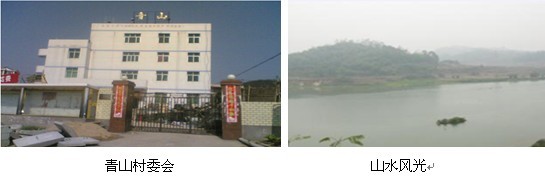 QQ图片20131101172955