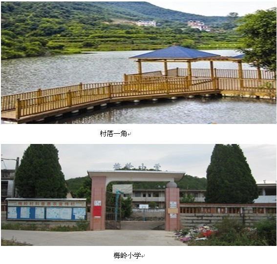 马甲镇梅岭存