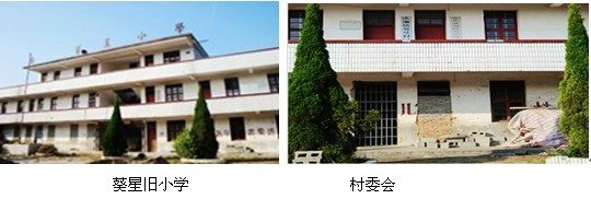 南安市洪濑镇葵星