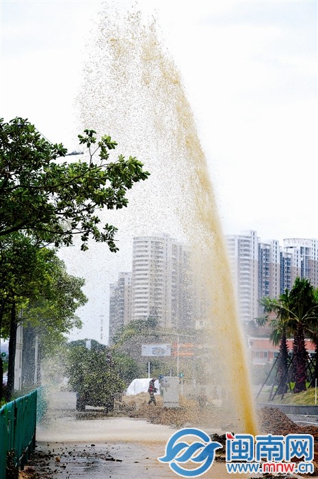 水管破裂后，喷起了十余米高的水柱