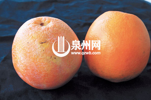 温水浸泡水5分钟后，这个脐橙掉色后表皮出现一层白 