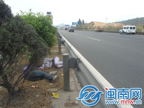 两个小伙在高速路的隔离带上睡觉