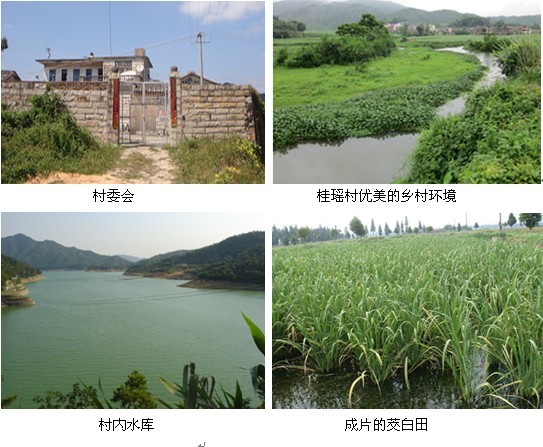 安溪县龙门镇桂瑶村