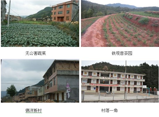 德化县赤水镇锦洋村