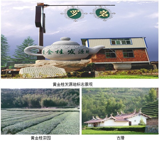 安溪县虎邱镇罗岩村
