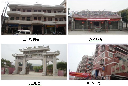 南安市美林街道玉叶村村