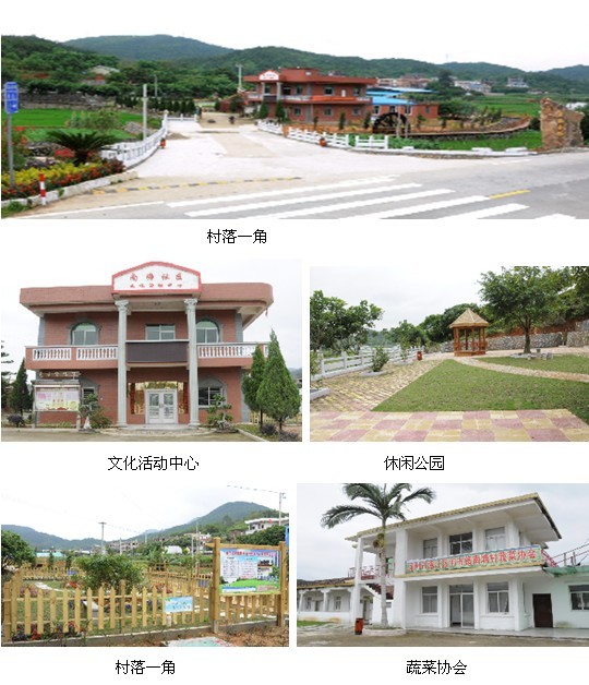泉州市洛江区河市镇南塘村