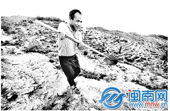 长汀无臂“铁人” 垦荒2270亩