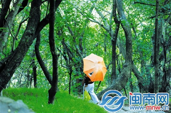 雨中漫步清源山