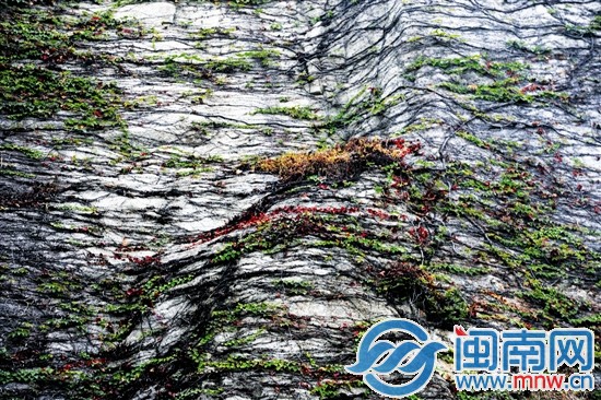 褪尽衣裳静待春