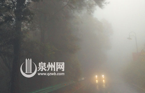 深秋细雨，清源山顶湿气重，雾渐浓
