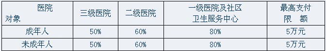 报销比例