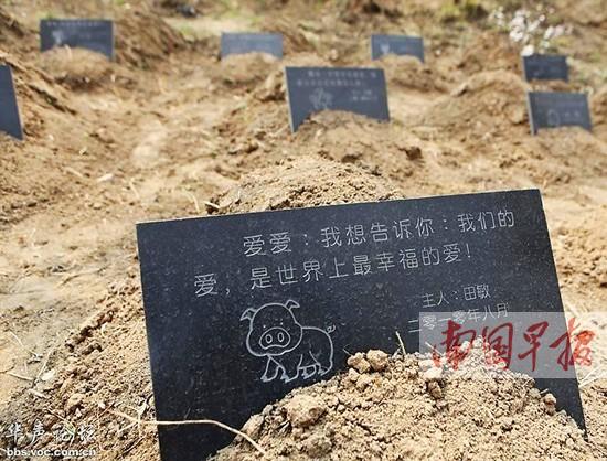 国内一些城市已在尝试建立“宠物公墓”1