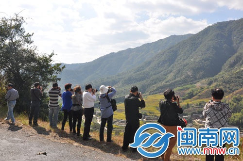 大家专心拍摄美景