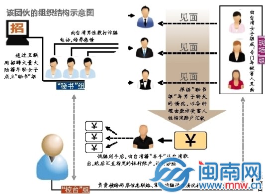 组织结构