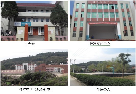 永春县桂洋镇桂洋村