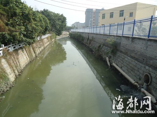 福州花整治内河一条花2个亿 景观美但水质依然差