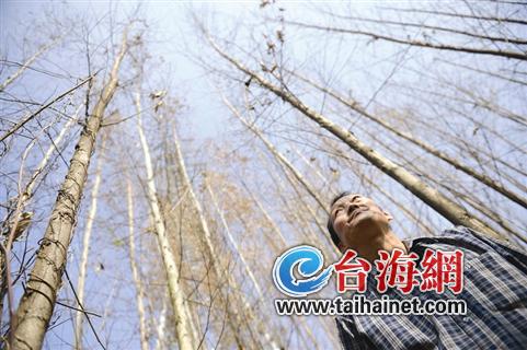 玛瑙村