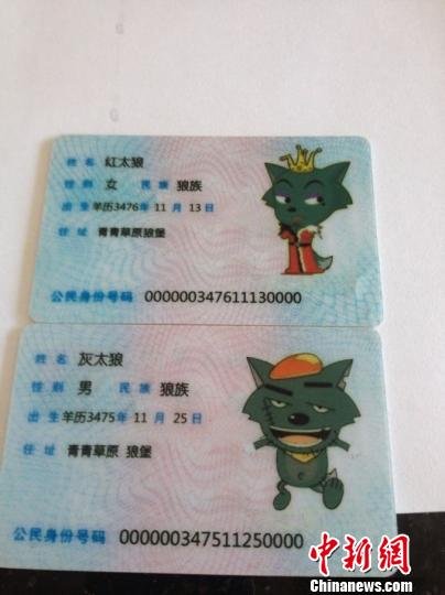 “灰太狼红太狼”身份证
