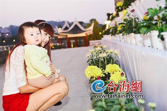 第二届菊花品种展暨盆景观赏石展 昨在芝山公园开幕