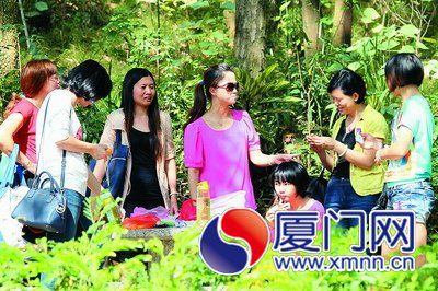 厦门反常高温